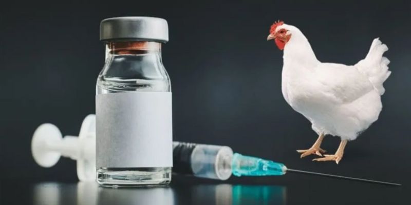 Bạn cần có kế hoạch tiêm vắc xin phòng 