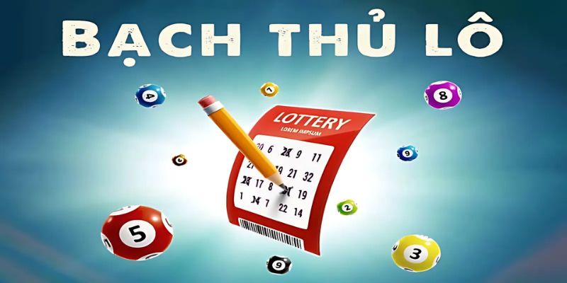 bạch thủ lô là gì?