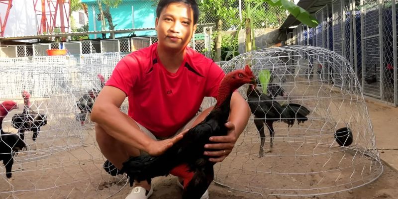 Quá trình vần hơi, vần đòn 