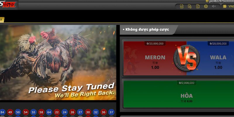 Tham gia cá cược đá gà Vic88 